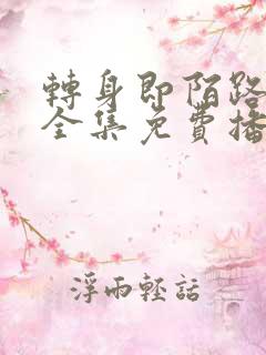 转身即陌路短剧全集免费播放