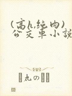 (高h,纯肉)公交车小说