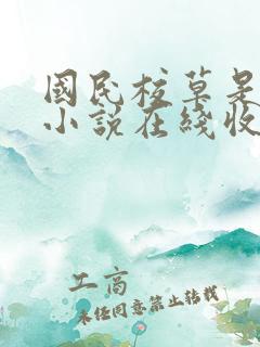 国民校草是女生小说在线收听