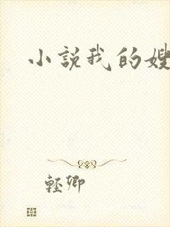 小说我的嫂子