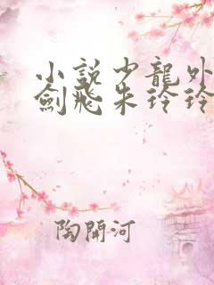 小说少龙外传龙剑飞朱玲玲