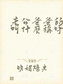 老公爸爸的妹妹叫什么称呼