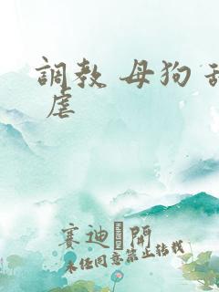 调教 母狗 舔 虐