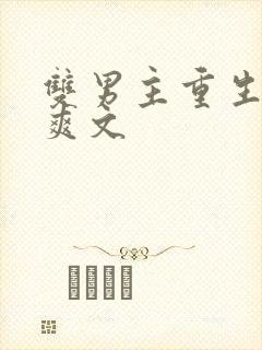 双男主重生复仇爽文