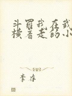 斗罗我在武魂殿横着走的小说
