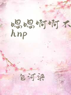 嗯嗯啊啊不要高hnp