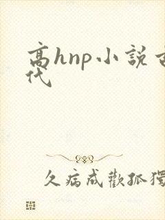 高hnp小说古代