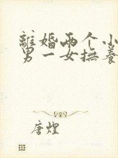 离婚两个小孩一男一女抚养权怎么判定