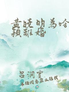 黄晓明为啥和杨颖离婚