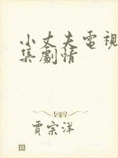 小丈夫电视剧分集剧情