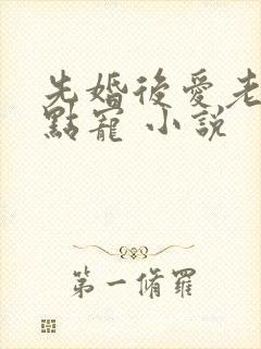 先婚后爱老公轻点宠 小说