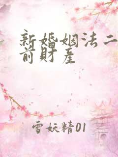 新婚姻法二婚婚前财产