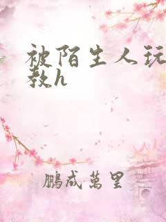 被陌生人玩弄调教h