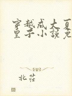 穿越成大夏国九皇子小说免费阅读