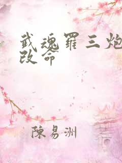 武魂罗三炮逆天改命