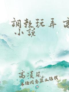 调教玩弄 高潮 小说