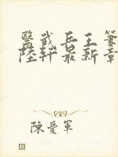 医武兵王笔趣阁陆轩最新章节