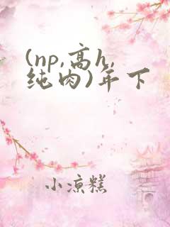 (np,高h,纯肉)年下
