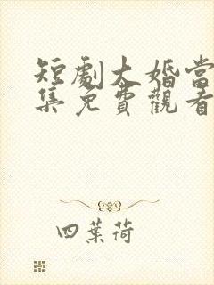 短剧大婚当日全集免费观看