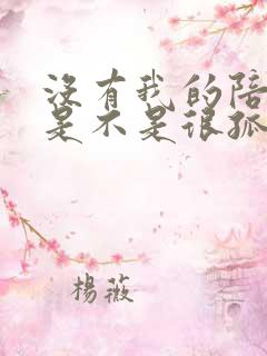 没有我的陪伴你是不是很孤单歌词