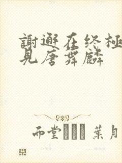 谢邂在终极斗罗见唐舞麟