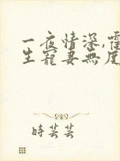 一夜情深,霍先生宠妻无度小说看