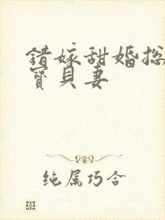 错嫁甜婚总裁的宝贝妻