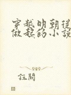 穿越明朝从流民做起的小说