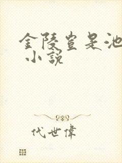 金陵岂是池中物 小说