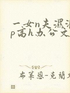 一女n夫湿润np高h办公文