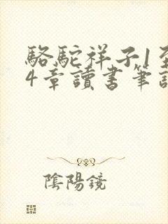 骆驼祥子1至24章读书笔记