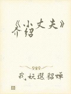 《小丈夫》剧情介绍