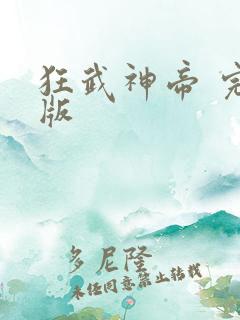 狂武神帝 完结版