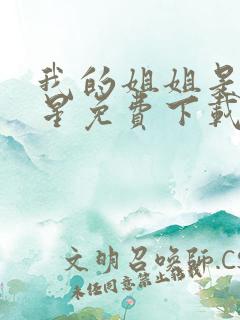 我的姐姐是大明星免费下载