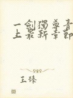 一剑独尊青鸾峰上最新章节