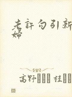 老许勾引新婚少妇