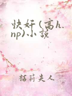 快奸 (高h.np)小说
