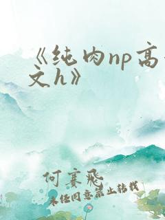 《纯肉np高辣文h》