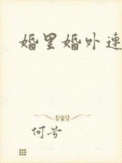 婚里婚外连续剧