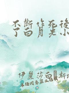 不断作死后我成了白月光小说免费读