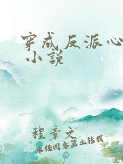 穿成反派心尖宠 小说