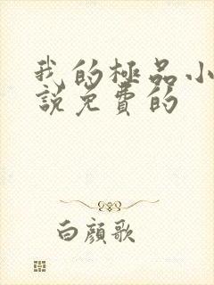 我的极品小姨小说免费的