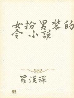 女扮男装的娇县令 小说