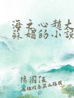 海之心赵大宝和苏媚的小说