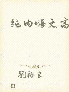 纯肉嗨文高辣