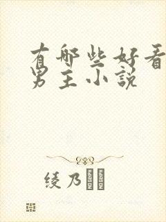 有哪些好看的双男主小说