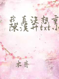 我真没想重生啊陈汉升txt小说下载