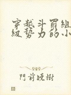 穿越斗罗组建超级势力的小说