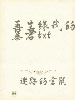 再生缘我的温柔暴君txt