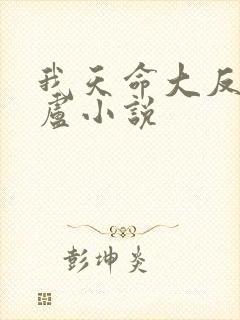 我天命大反派飞卢小说